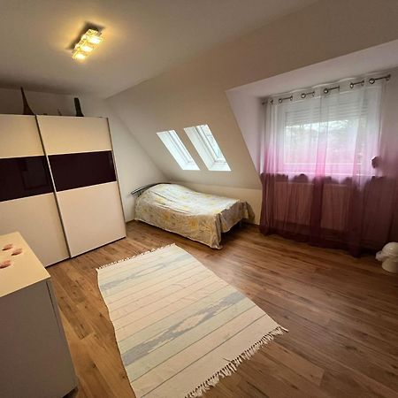 Schickes 110Qm Ferienhaus In Naehe Vw, Messe,Dez Und Orangerie Kassel Buitenkant foto